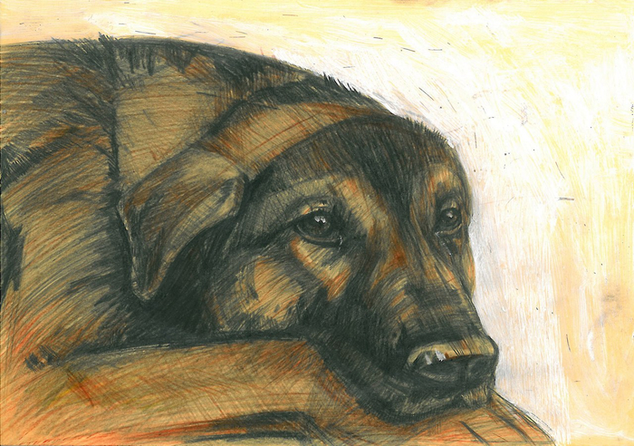 Без названия