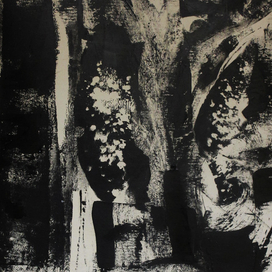 зима. цветы на окне