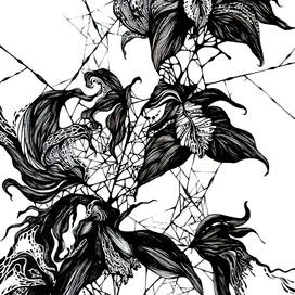 Орхидеус химерус