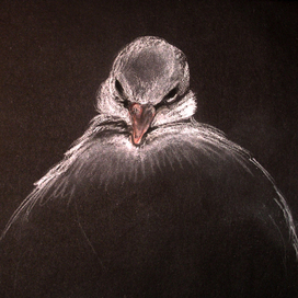 вот я какой задумчивый