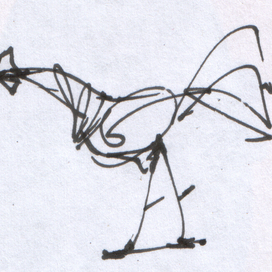 бойцовый  петух