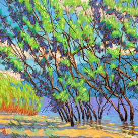 Берег Волги