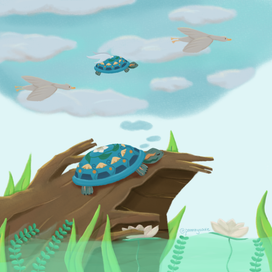 Черепашьи мечты