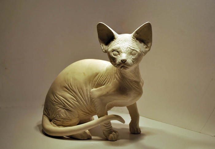 Сфинкс ( подросток )