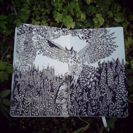 Ночная охота