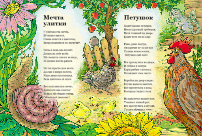 Улитка. Петух