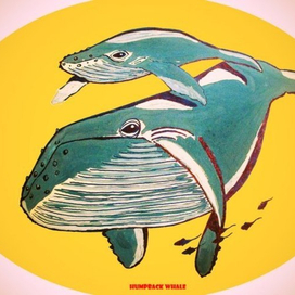 Логотип "Горбатые киты"