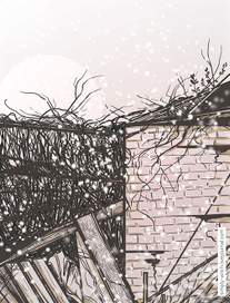 Палисадник около дома