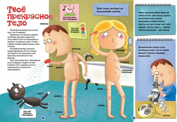 Твоё прекрасное тело