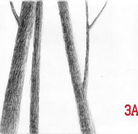 Басни С. В. Михалкова "Заяц во хмелю"