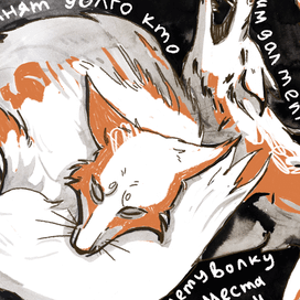 Сироткин зин 