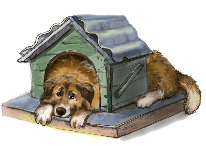 Квартирный вопрос