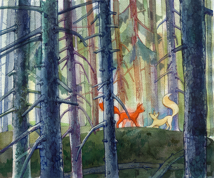 Лисы в лесу