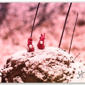 Жуня и Бяма