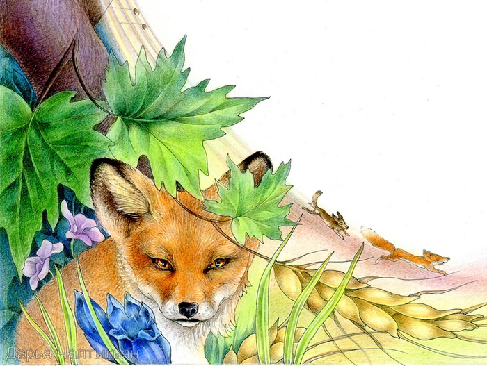 Времена года