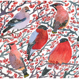 Зимние птицы