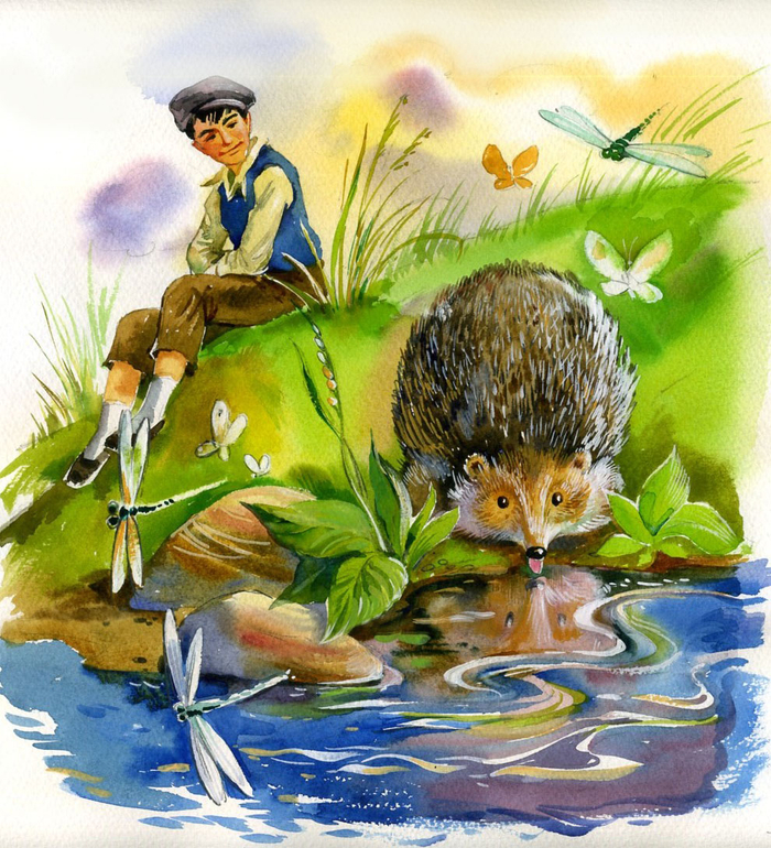 Ингушские стихи. Ёжик у ручья