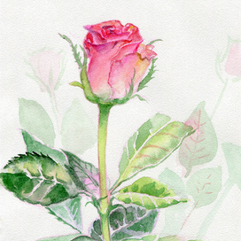 Весенние цветы акварелью