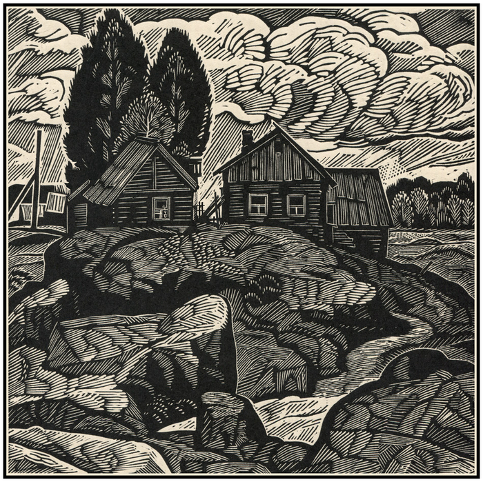 Дома на окраине-2005