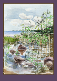 Залив - Начало путешествия