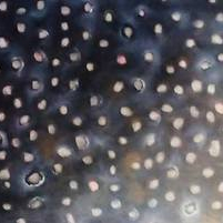 ''Какие мы все одинаковые и какие мы все разные