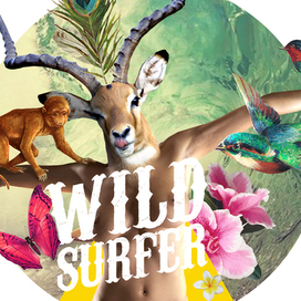 wild surfer2