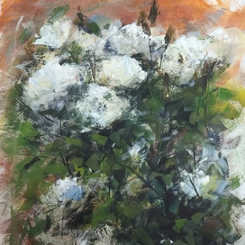  «Белые Розы»