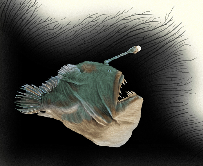 Морской чёрт