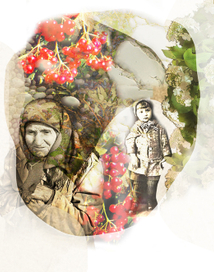 Калинові грона