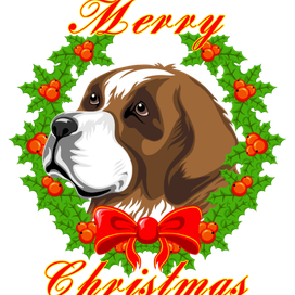 принт для футболки St. Bernar