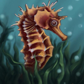 Hippocampus