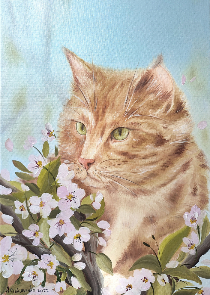 Рыжий кот. Масло/холст