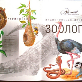 Зоология Аван-титул