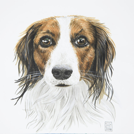 Портрет собаки Винсент