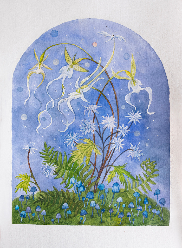 «Призрачная орхидея и японский коптис»