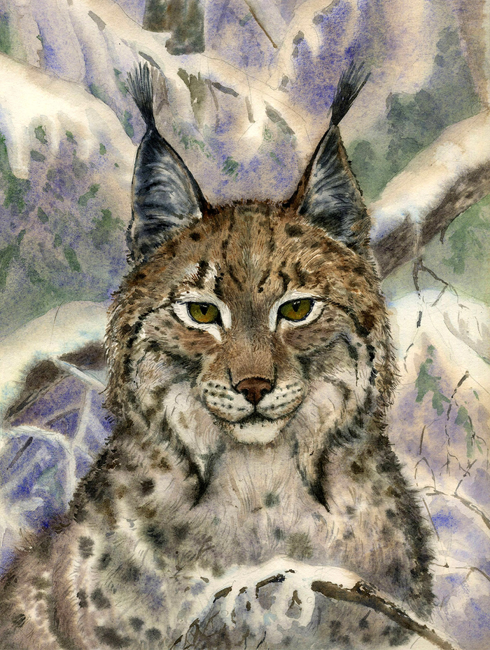 Обложка для издательства "Пальмира"