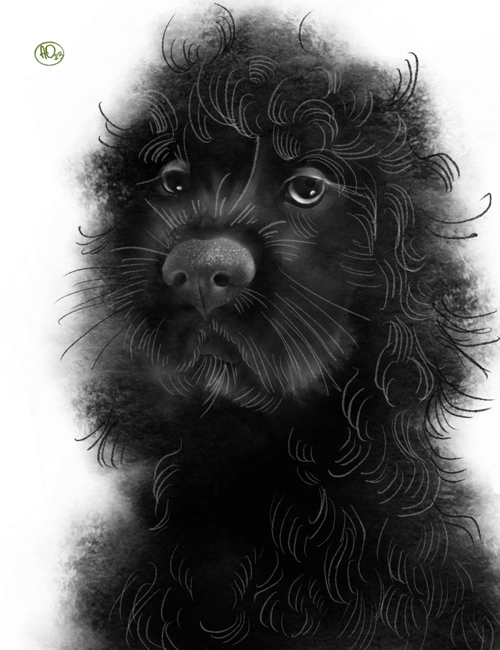 Пора к парикмахеру 