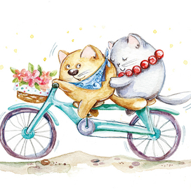 На велосипеде