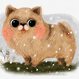 Померанский шпиц в снегопад