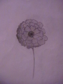 "Петунья Жёлтая"