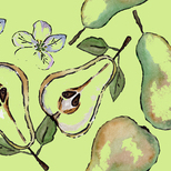 Бесшовный акварельный бардюр из груш и яблоневого цвета.