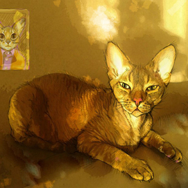 Солнечный зайчик