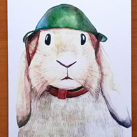 Заяц в каске