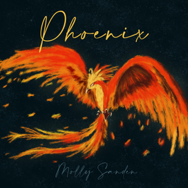 Обложка для песни/винила «Phoenix»