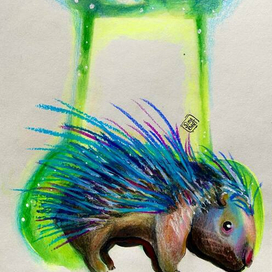 Буква Д. Дикобразик