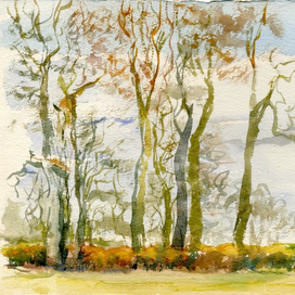 spring trees Trigorsk