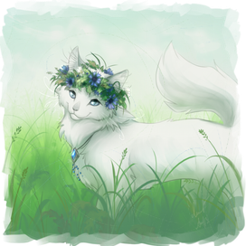 Кошка-воительница Лето