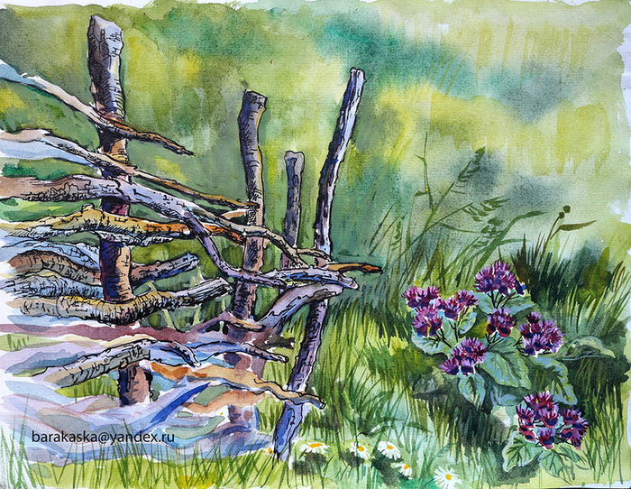 Плетень у бабъёшкинской избушки