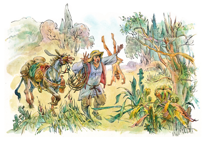 ДОН КИХОТ Изд-во "Махаон", серия "мировая классика для детей" 