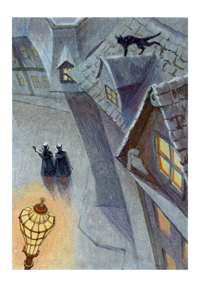 «Таинственные гости»